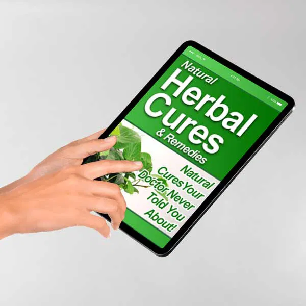 1-Day Kickstart Detox Digital Download